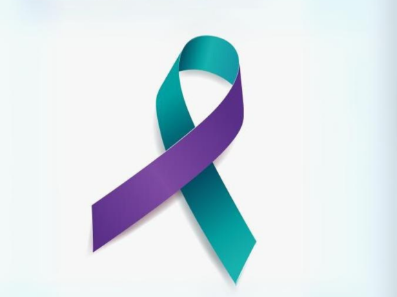 dv/sv awareness ribbon